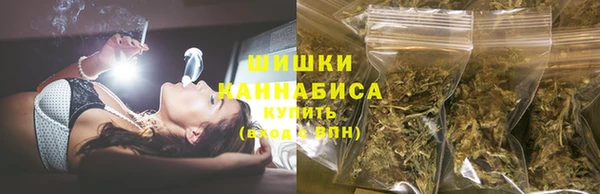 соль ск Алзамай