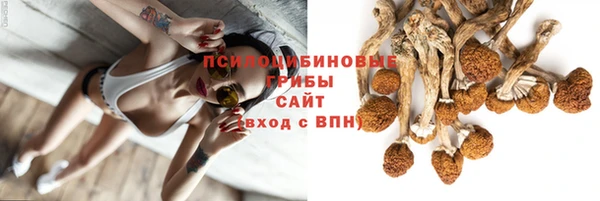 соль ск Алзамай