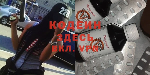 мет Алексин
