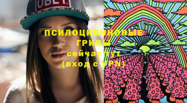 соль ск Алзамай