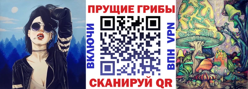 Псилоцибиновые грибы Cubensis Обоянь